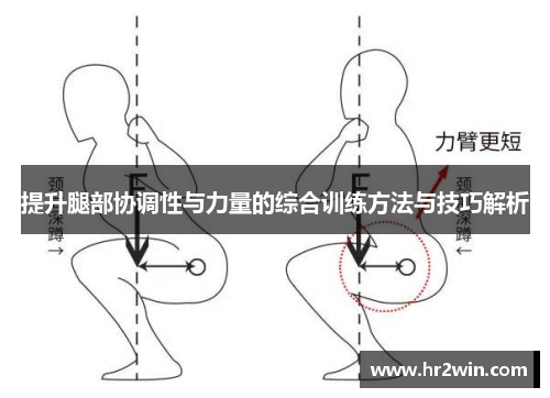 提升腿部协调性与力量的综合训练方法与技巧解析
